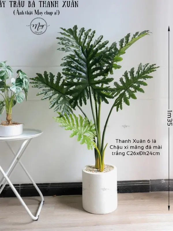 cay trau ba thanh xuan dang thap.jpg - Cây trầu bà thanh xuân giả trang trí phòng khách
