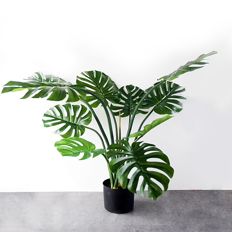 CC143 7 1 - Cây Monstera Trầu Bà Lá Xẻ Thân Mềm Giả CC143 7 1 - Cây Monstera Trầu Bà Lá Xẻ Thân Mềm Giả