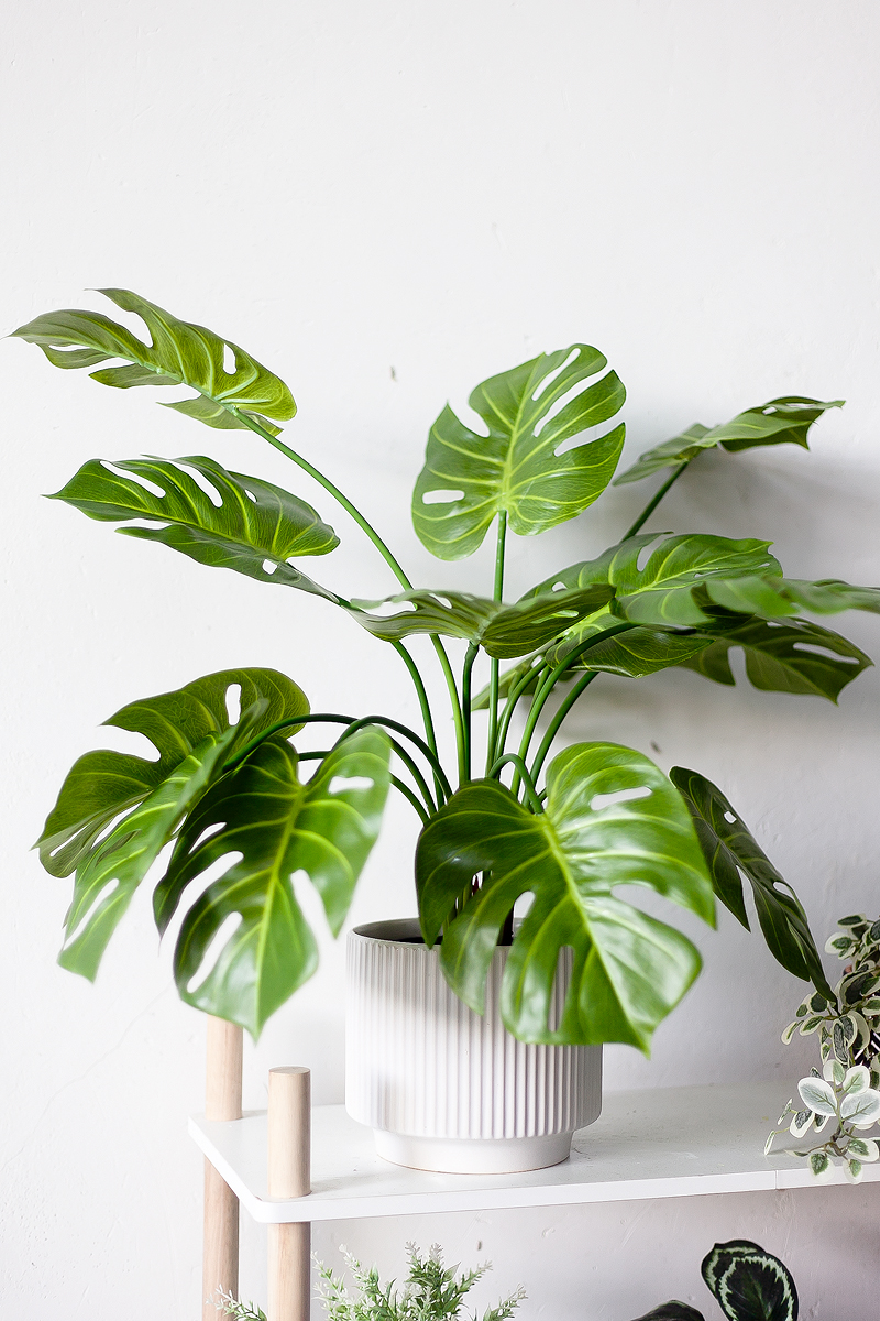 NC03 14 - Cây Trầu Bà Lá Xẻ Giả - 70cm NC03 14 - Cây Trầu Bà Lá Xẻ Giả - 70cm